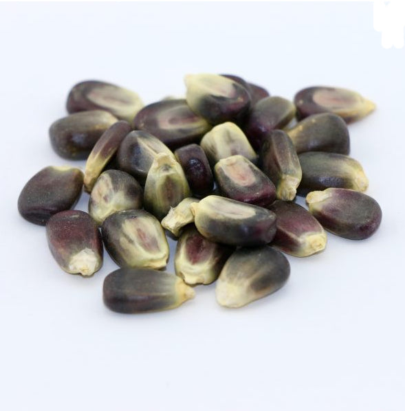 Blue Corn