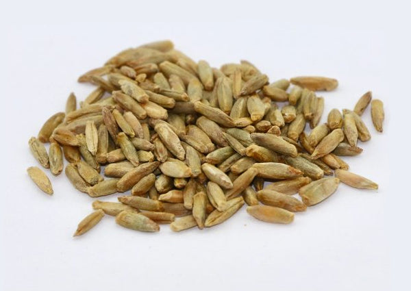 Bono Rye
