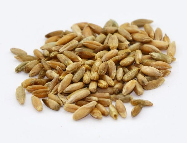 Elbon Rye