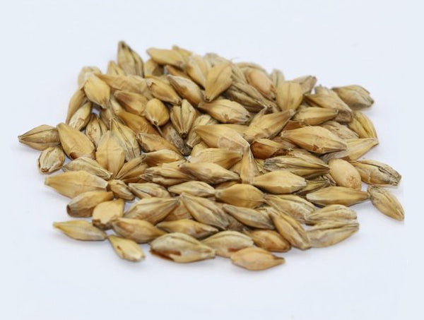 Texas Grown Barley