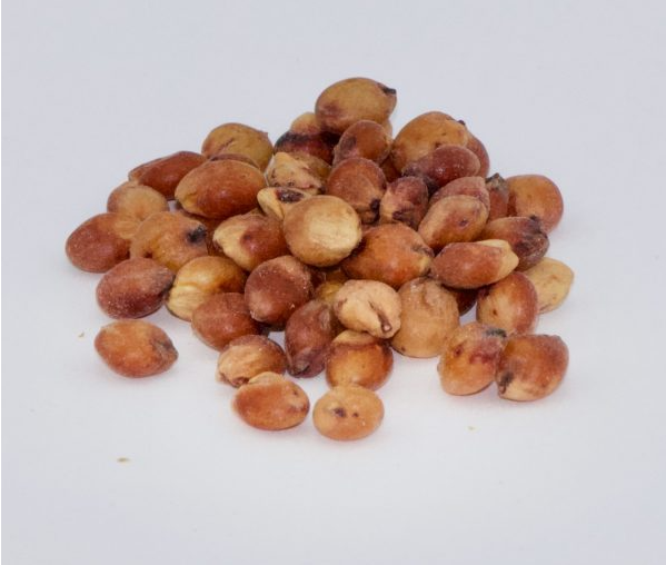 Sorghum