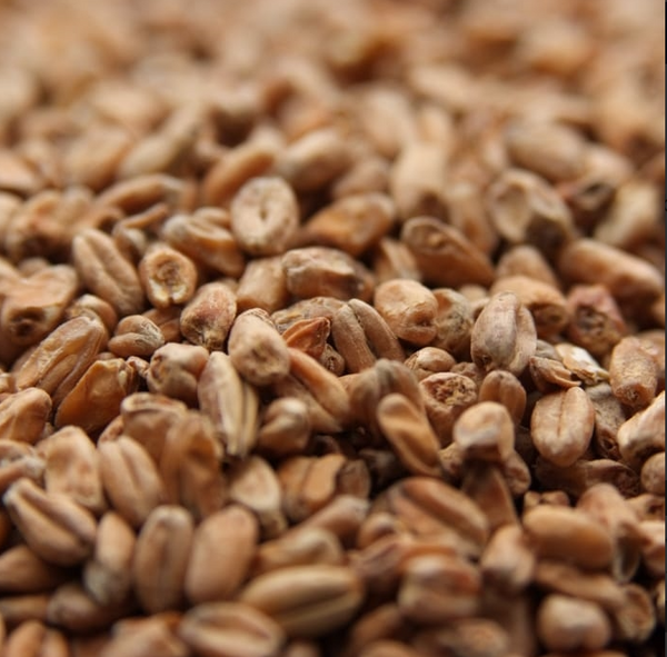 Weyermann Dark Wheat