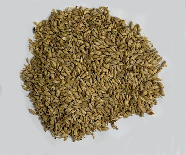 Gambrinus Honey Malt