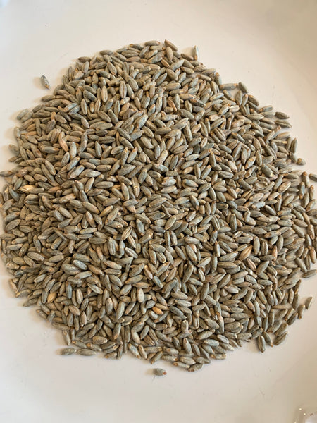 Corn, Barley, Rye & Wheat Fermentation Kit