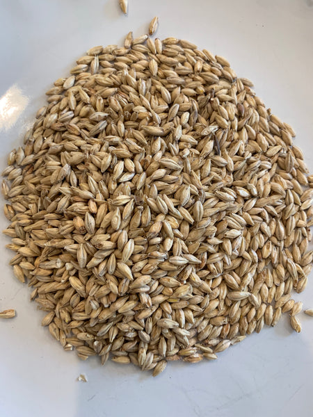 Corn, Barley, Rye & Wheat Fermentation Kit